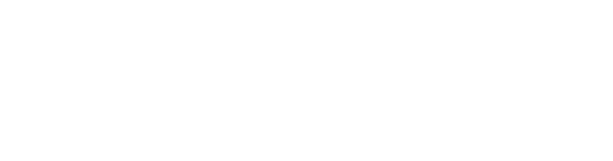 quara-holding