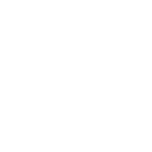 Independent Logistics