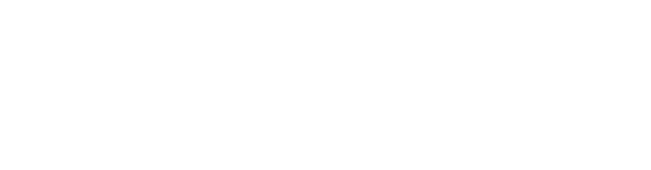 Quara Global Holding